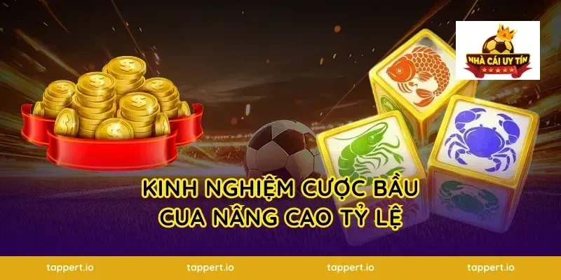 Kinh nghiệm cược bầu cua nâng cao tỷ lệ