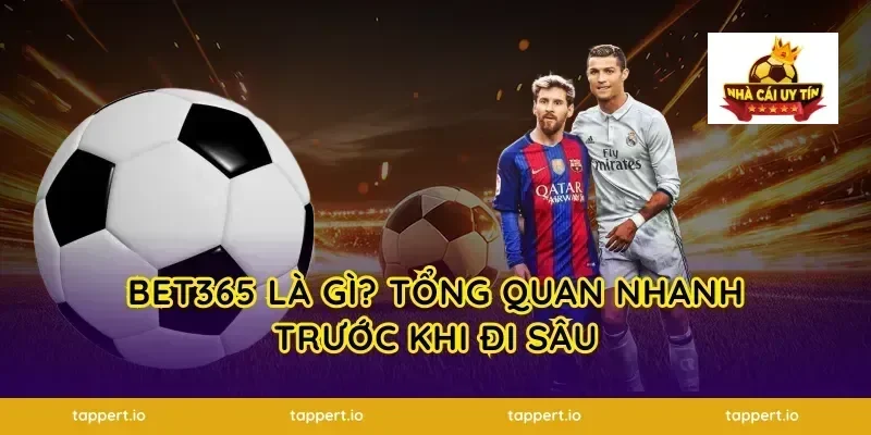 Bet365 Là Gì? Tổng Quan Nhanh Trước Khi Đi Sâu