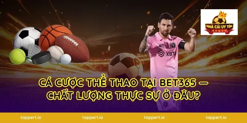 Cá Cược Thể Thao Tại Bet365 — Chất Lượng Thực Sự Ở Đâu?