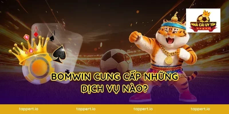 Bomwin Cung Cấp Những Dịch Vụ Nào?