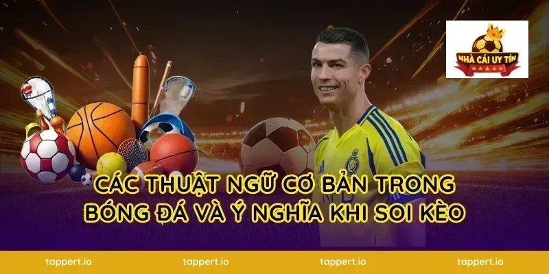 các thuật ngữ cơ bản trong bóng đá và ý nghĩa khi soi kèo