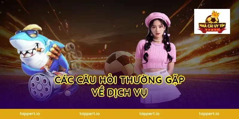 Các Câu Hỏi Thường Gặp Về Dịch Vụ
