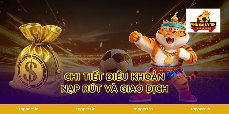 Chi tiết điều khoản nạp rút và giao dịch