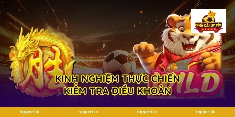 Kinh nghiệm thực chiến kiểm tra điều khoản