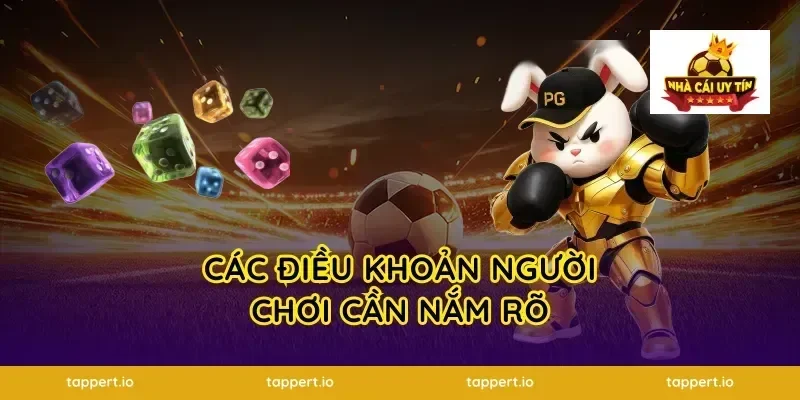 Các điều khoản người chơi cần nắm rõ