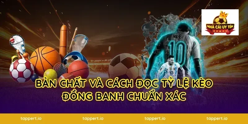 Bản chất và cách đọc tỷ lệ kèo đồng banh chuẩn xác