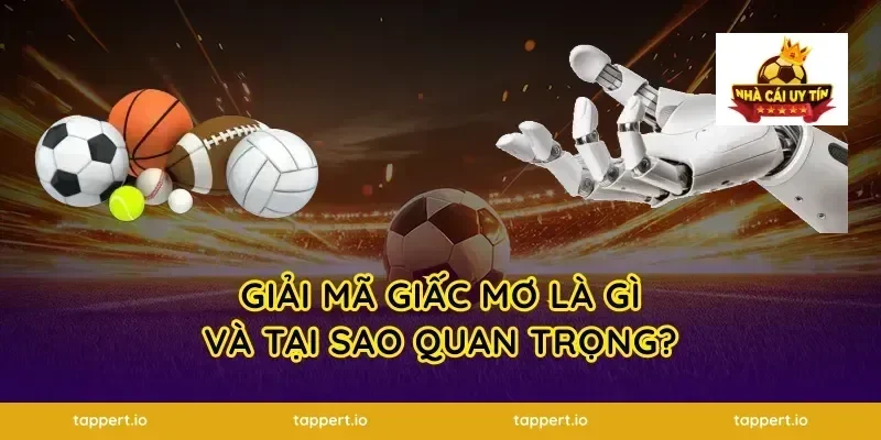 Giải Mã Giấc Mơ Là Gì Và Tại Sao Quan Trọng?