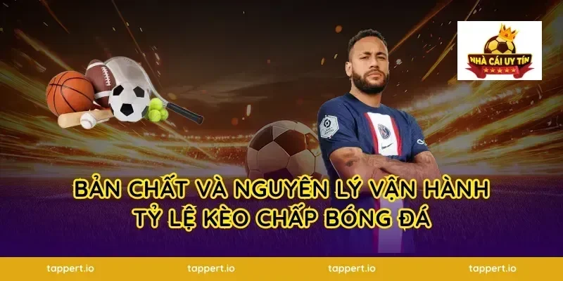 Bản chất và nguyên lý vận hành tỷ lệ kèo chấp bóng đá