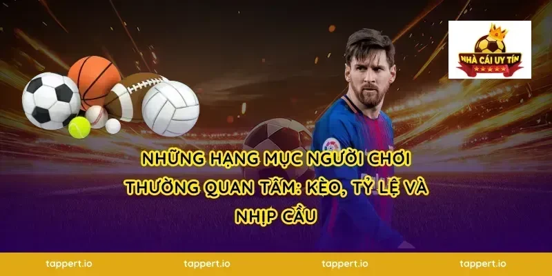Những hạng mục người chơi thường quan tâm: kèo, tỷ lệ và nhịp cầu
