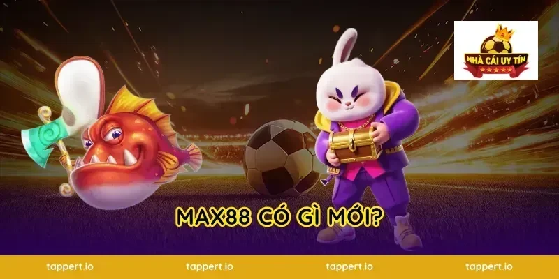 Max88 Có Gì Mới?
