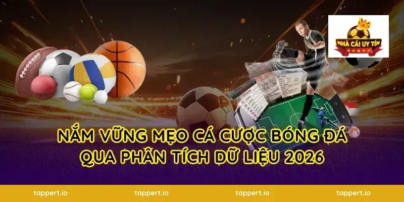 Nắm vững mẹo cá cược bóng đá qua phân tích dữ liệu 2026