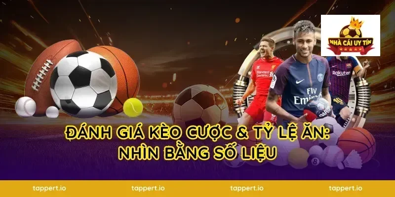 Đánh giá kèo cược & tỷ lệ ăn: Nhìn bằng số liệu