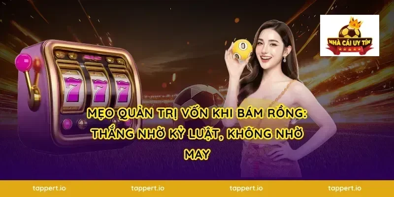 Mẹo quản trị vốn khi bám rồng: thắng nhờ kỷ luật, không nhờ may
