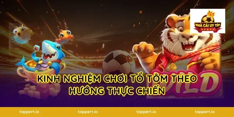 Kinh nghiệm chơi tổ tôm theo hướng thực chiến