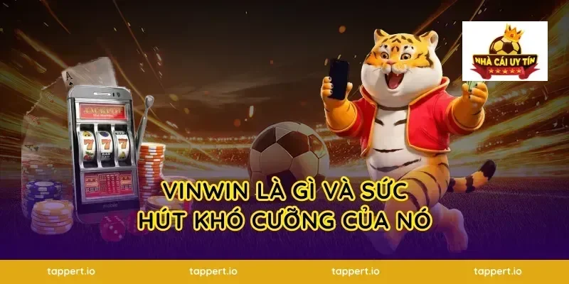 vinwin là gì và sức hút khó cưỡng của nó